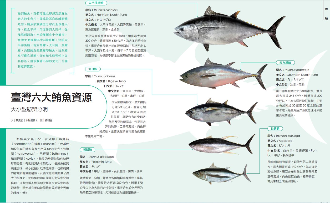 臺灣六大鮪魚資源