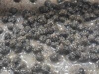 IMG_20250910_083013.jpg