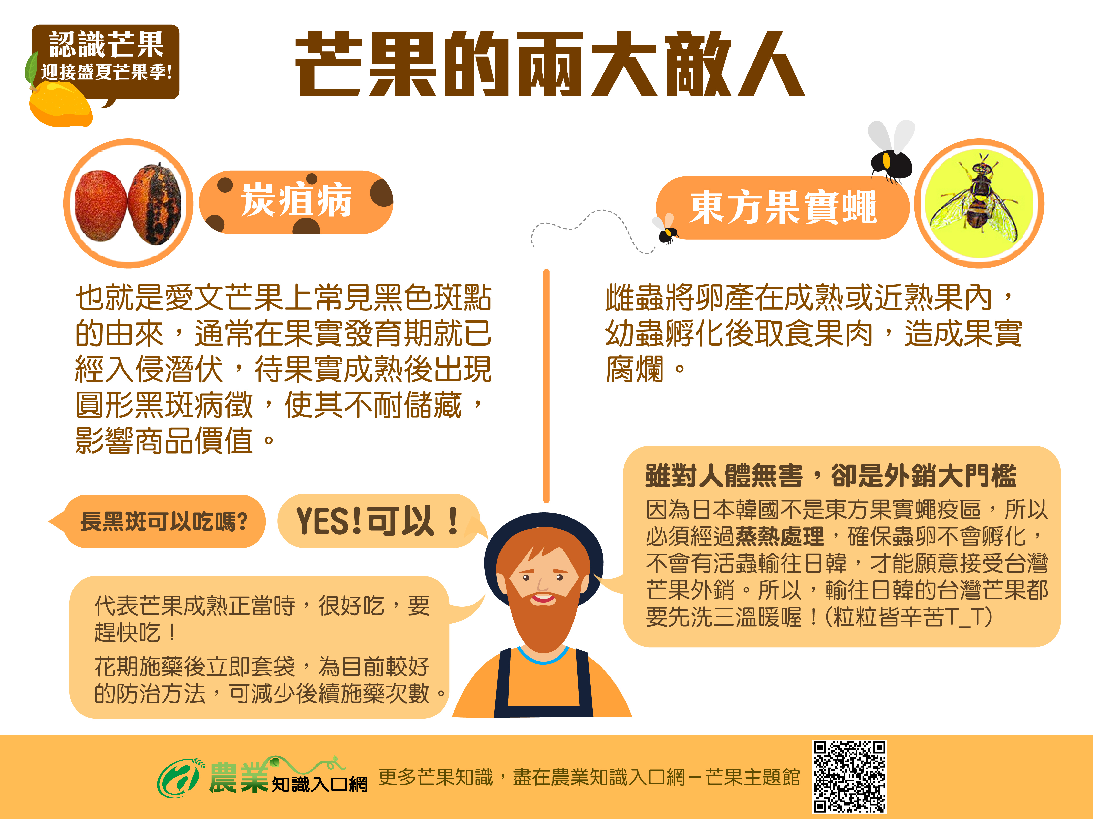 芒果的兩大敵人