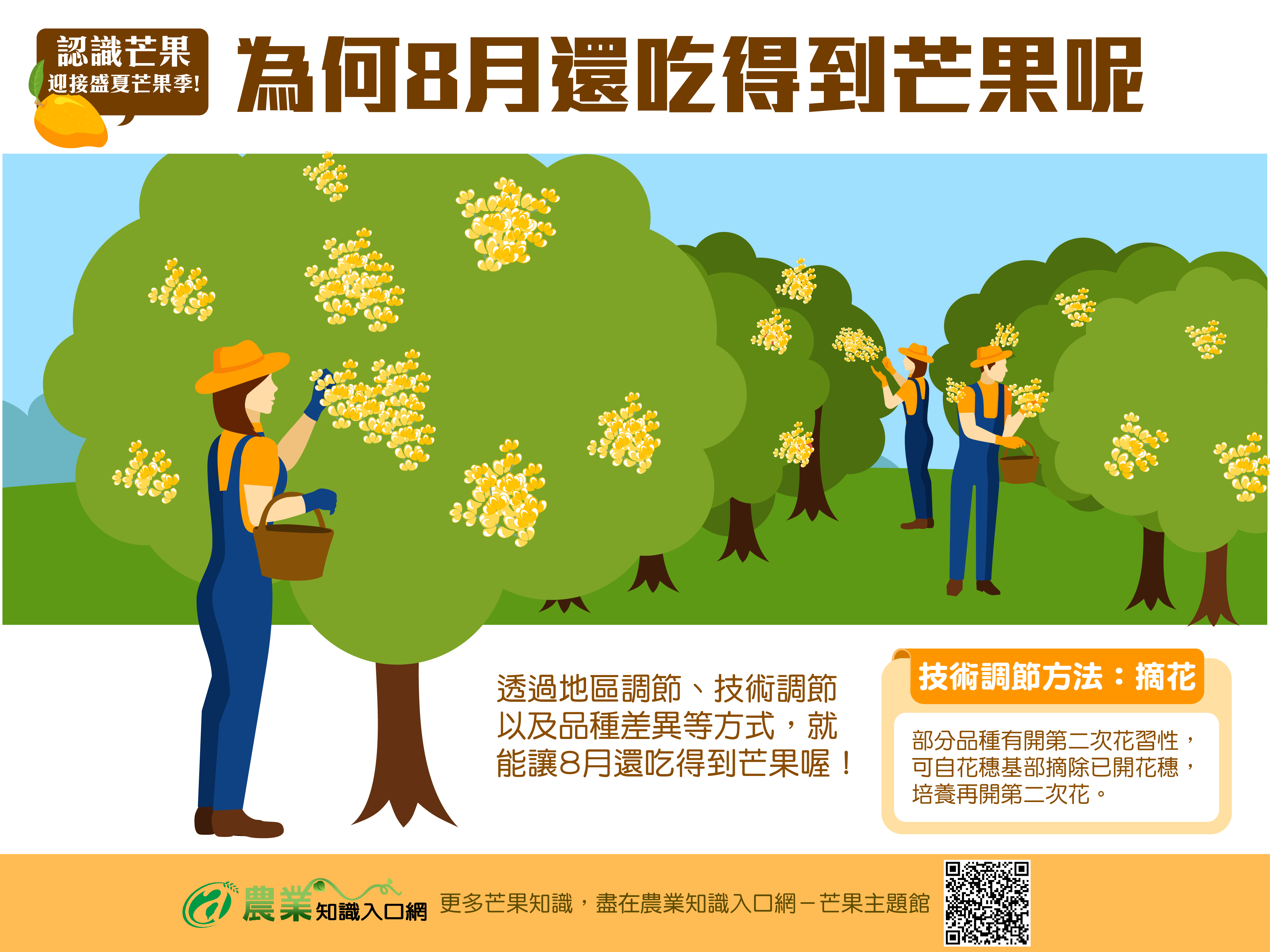 為何8月還吃的到芒果呢